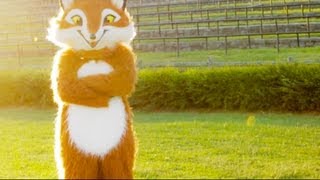 quotWhat Does The Fox Sayquot  quotThe Foxquot Song Originally by Ylvis Cover [upl. by Drugge]