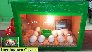 Incubadora Casera Para Huevos de Gallina  Home Incubator [upl. by Fergus]