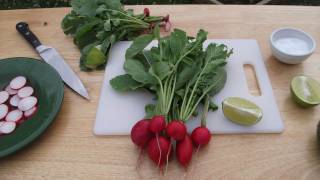 QUICK amp FRESH RADISHES RECIPE [upl. by Leo274]