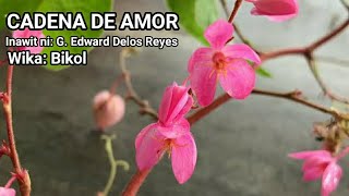 CADENA DE AMOR Bikol Song [upl. by Tingey]