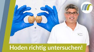 Hodenkrebs vorbeugen So können sich Männer selbst untersuchen [upl. by Enidanreb]