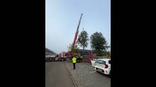 Bomen verplanten Reginadonk [upl. by Hawkie]