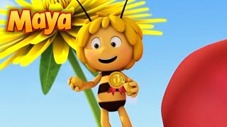 MAYA participa en un CONCURSO de TALENTOS 🏆🐝💚 MEJORES CAPÍTULOS DE MAYA para niños en ESPAÑOL 🐝 [upl. by Yentterb419]