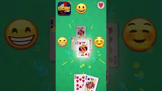 Play Euchre Now [upl. by Carvey]