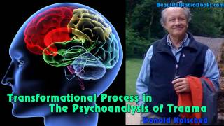 Transformational Process in the Psychoanalysis of Trauma by Donald Kalsched  part 3 [upl. by Atreb]