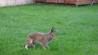 Buster3June09 [upl. by Sallyann170]