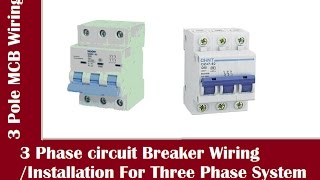 3 Phase Circuit Breaker Connection  3 Pole MCB Installation In English [upl. by Norbert]