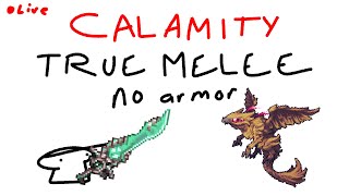 calamity true melee no armor expert death part 4 the hard part [upl. by Holbrooke]