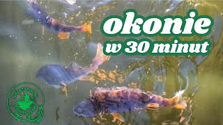 Okonie w 30 minut [upl. by Brigit]