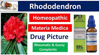 Rhododendron Homeopathic Medicine  Drug Picture  Materia Medica bhms [upl. by Ingamar]