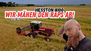 FarmVLOG1001  Wir mähen unseren Raps jetzt einfach ab [upl. by Akenaj]