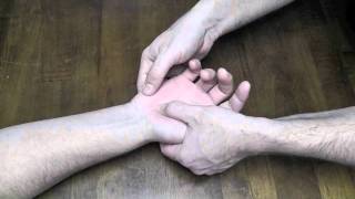 Accessory Motion Testing of Carpal Joints CR [upl. by Reedy]