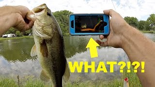 How to Turn Your Phone into a FISH FINDER for Bank Fishing [upl. by Nylram]