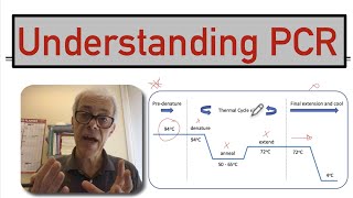 Understanding PCR [upl. by Flatto]