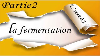 Partie 2  La fermentation [upl. by Larimor33]