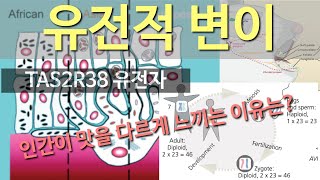 진화론 이해하기 14 개체간의 변이Variation among individuals 유전적 변이 [upl. by Mohsen]