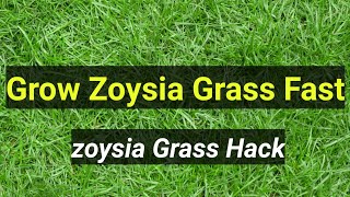 HOW TO GET YOUR ZOYSIA GRASS SPREADING FASTER Garden Tips [upl. by Atteloiv]