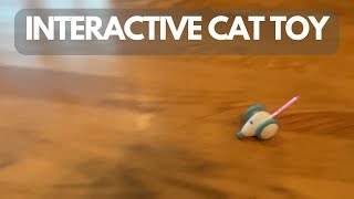 Interactive Cat Toy for Indoor Cats Review [upl. by Analahs372]