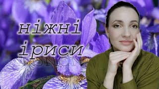 КУПИЛА НАОСЛІП БОКС З АРОМАТАМИ  Розпаковка і перші враження  ІРИСОВІ АРОМАТИ 💜💛 [upl. by Yrakcaz]