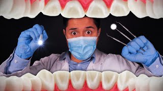 ASMR  FULLY Detailed Dental Exam amp Teeth Cleaning [upl. by Leugimsiul]