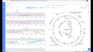 Benchling Restriction Enzyme Digest [upl. by Stevie]