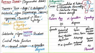 Parkinson Disease  CNS pathology  parkinsons disease in hindi  robbins pathology cnspathology [upl. by Blackington]