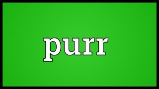 Purr Meaning [upl. by Manfred]