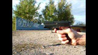 Shooting Röhm RG 600 Blank Gun [upl. by Aivlis687]