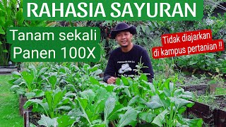 Petani Untung 700x lipat dengan Hal ini Rahasia Organik [upl. by Thorstein]