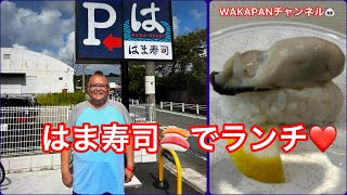 はま寿司でランチ🦪WAKAPANチャンネル🐼 [upl. by Lucier]