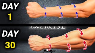 I Used These Easy Exercises for Massive Forearms amp Stronger [upl. by Aihsad904]