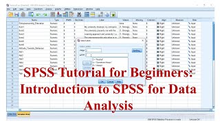 Likert Scale Data Analysis for Beginners in SPSS [upl. by Sacrod]