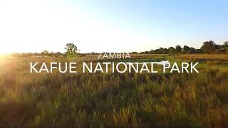 Breathtaking Kafue National Park in Zambia [upl. by Annovaj]