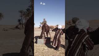 ¿Conoces la cultura Tuareg tradiciones tuareg nomadas desierto [upl. by Ijies]