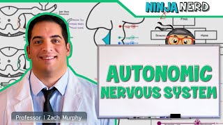 Neurology  Autonomic Nervous System [upl. by Kalfas]