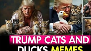 Donald Trump Cats and Ducks Memes Goes Viral [upl. by Einoj]