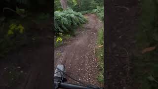 STILE COP  CANNOCK CHASE  RIDGE RUN Full Video on Channel [upl. by Aham]