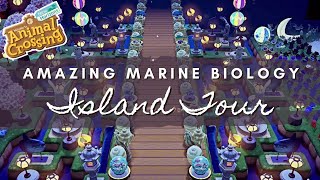 AMAZING MARINE BIOLOGY INSPIRED ISLAND TOUR  Animal Crossing New Horizons [upl. by Ayitahs]