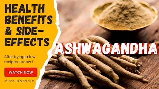 Ashwagandha Explained Does This Ancient Herb Really Work [upl. by Suollecram]