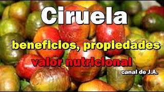 Ciruela beneficios propiedades y valor nutriciona [upl. by Ethelind]