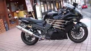 Kawasaki ZX14R カスタム ワイバン アールズギア WYVERN Twin type [upl. by Bette]