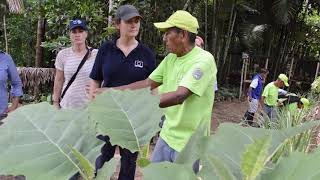 Ecoturismo comunitario en Amazonas [upl. by Nyrtak307]