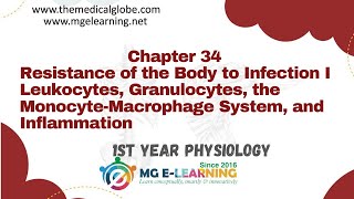 Resistance of the Body to Infection I Leukocytes Granulocytes the MonocyteMacrophage Chapter 34 [upl. by Isabelita]