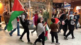 Palestine Protesters Storm Through California Mall  Bakersfield [upl. by Arahsat]