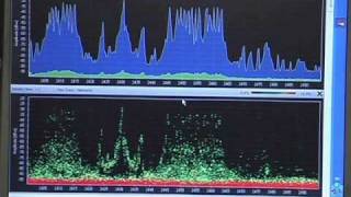 Review Hitec Spectra AFHSS 24GHz receiver and module part 3 [upl. by Kraft311]