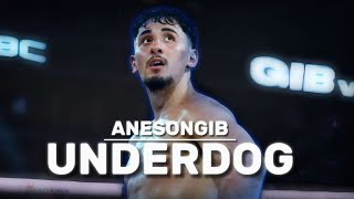 AnEsonGib UNDERDOG  Boxing Documentary [upl. by Winne]