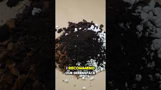 The Perfect Potting Soil Mix for Thriving Indoor Plants 🌿 [upl. by Ailati]