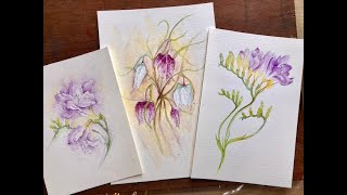 Line amp Wash Fritillaries amp Freesias [upl. by Assilak]