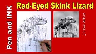 How to Draw a RedEyed Crocodile Skink Lizard [upl. by Revart795]