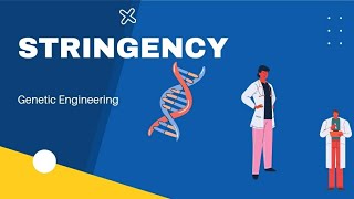 STRINGENCY geneticengineeringbiotechnologyrdnatechnologygatecsirnet [upl. by Bonnee]